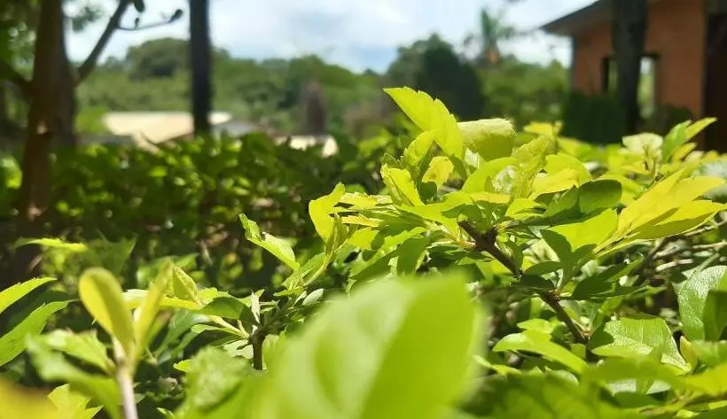 هتل Balneario Acuamanía