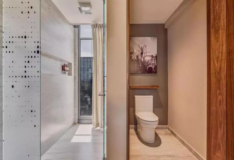 ホテル Fiesta Americana Viaducto Aeropuerto