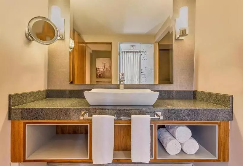 ホテル Fiesta Americana Viaducto Aeropuerto