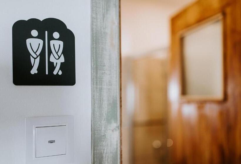 هاستل Dreams House