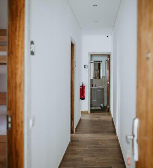 هاستل Dreams House