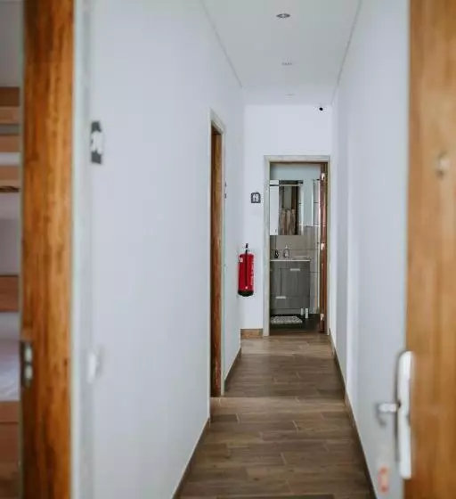 هاستل Dreams House