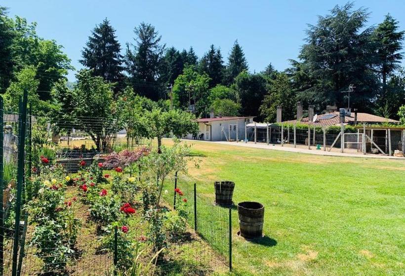 Bed And Breakfast Garofalo Rooms Castelli Romani