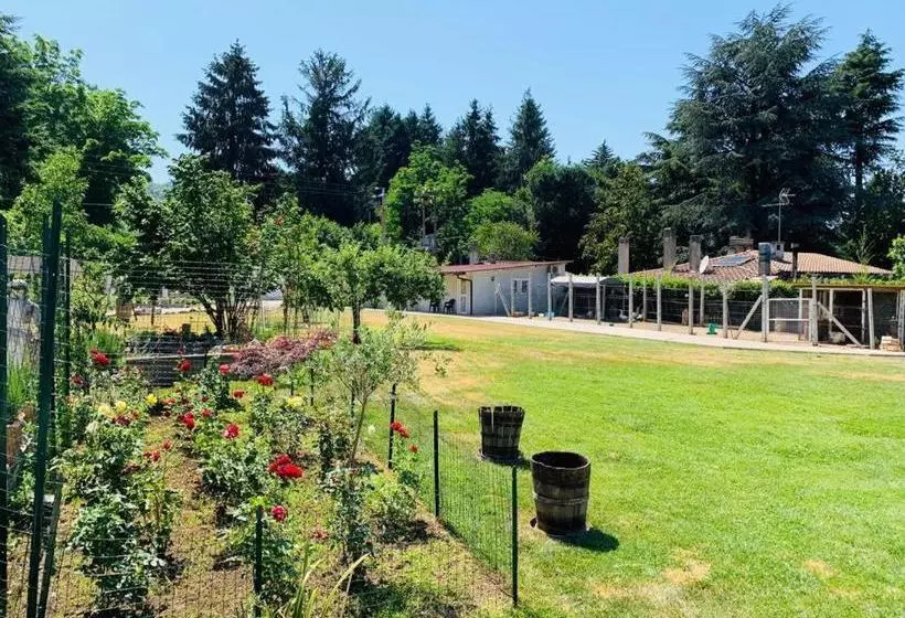 Bed And Breakfast Garofalo Rooms Castelli Romani