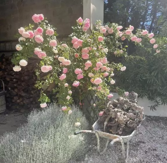 Appt 2 Pieces Dans Mas Provençal