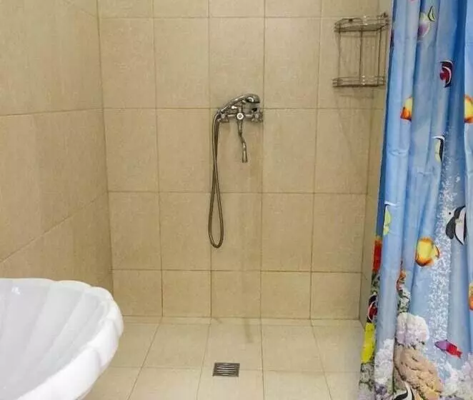 Hostel Propolis