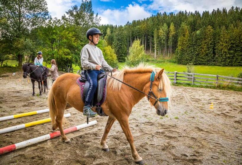 فندق Biobauernhof Tonimörtl