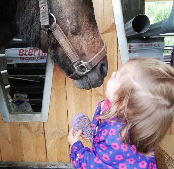 فندق Biobauernhof Tonimörtl