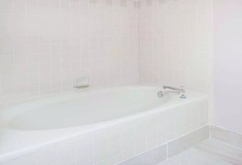 酒店 Baymont By Wyndham Clarksville Northeast