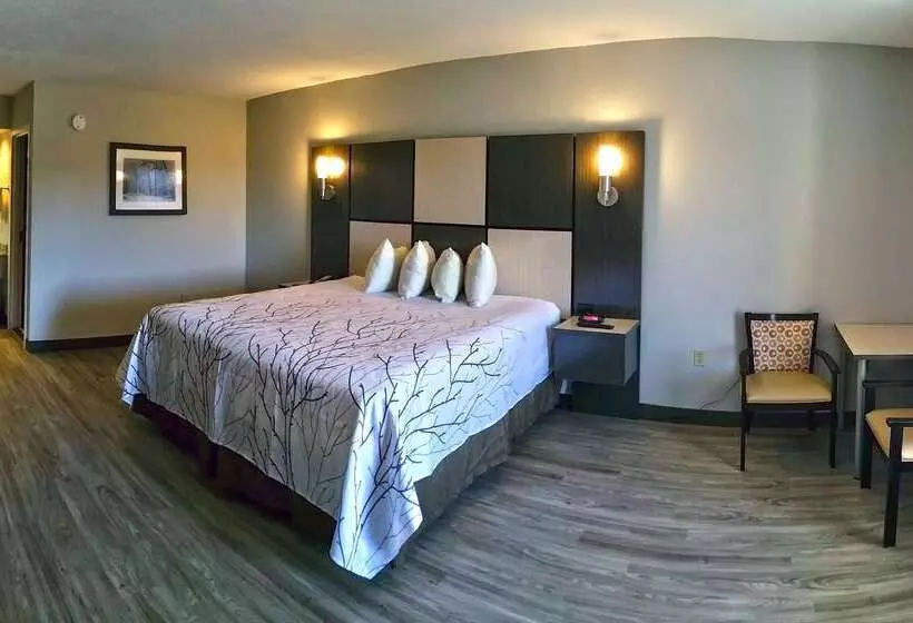 فندق Best Western Cades Cove Inn