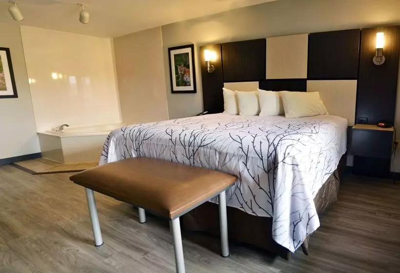 فندق Best Western Cades Cove Inn