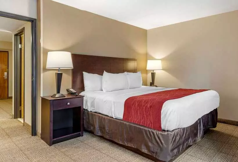 Отель Comfort Inn