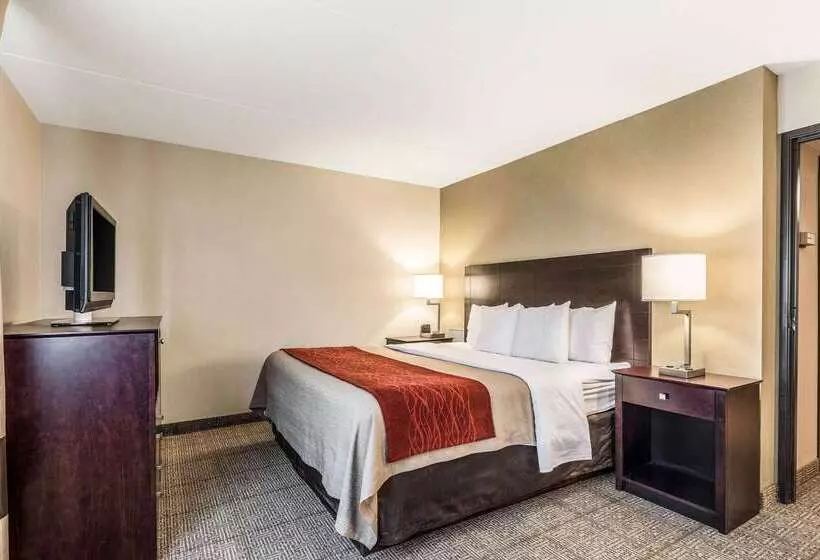 Отель Comfort Inn
