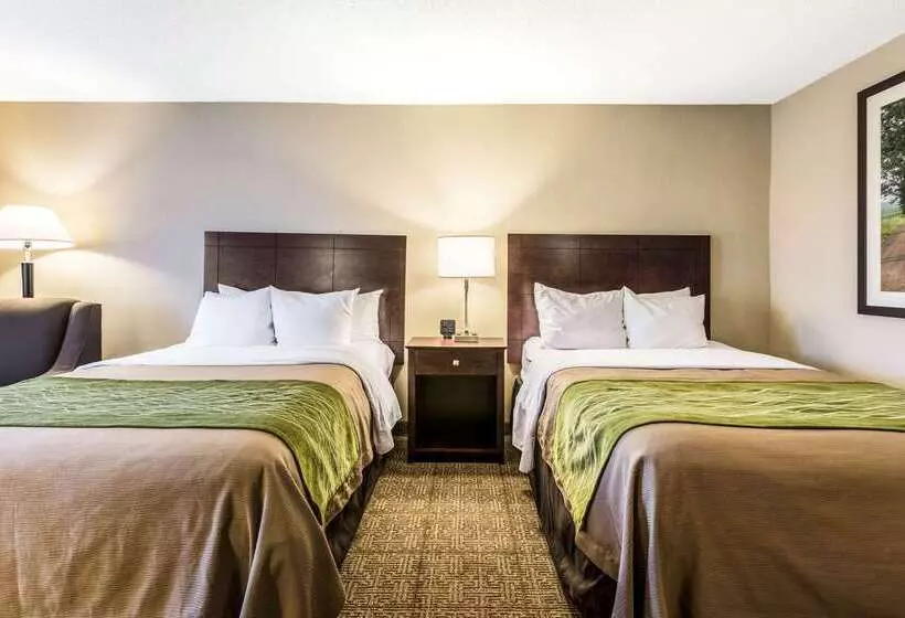 Отель Comfort Inn