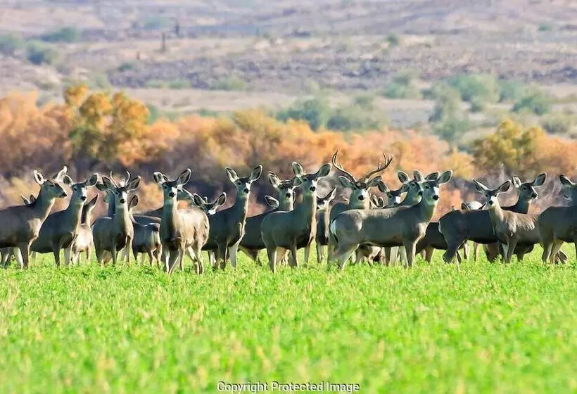 酒店 Days Inn By Wyndham Blythe