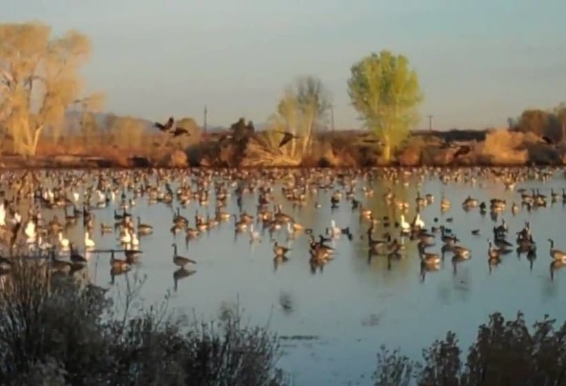 בית מלון כפרי Days Inn By Wyndham Blythe