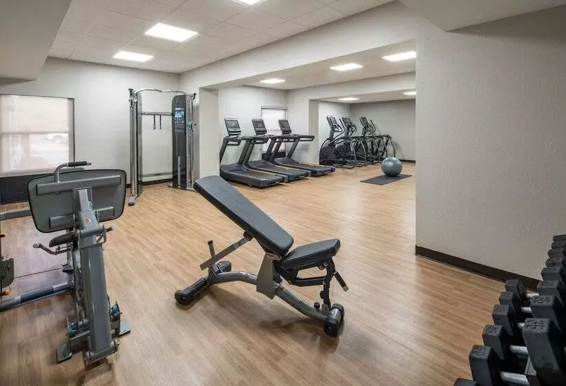 호텔 Four Points By Sheraton Alexandria