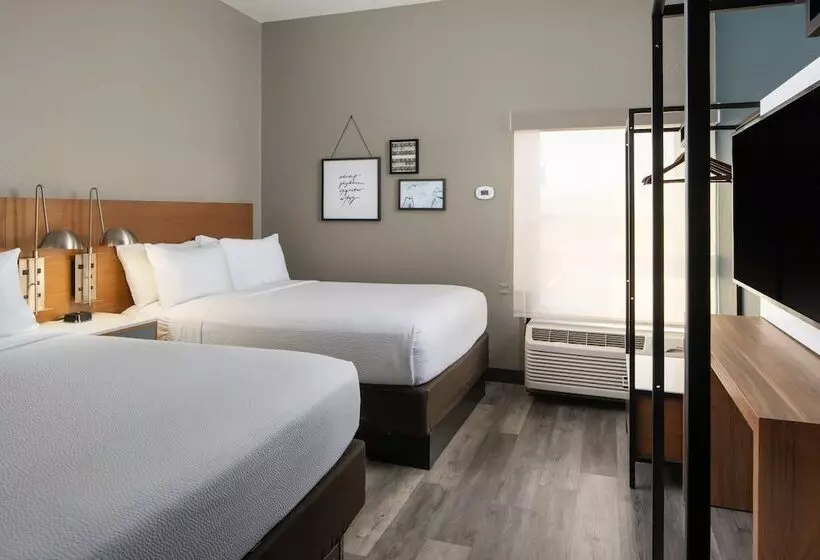 호텔 Four Points By Sheraton Alexandria