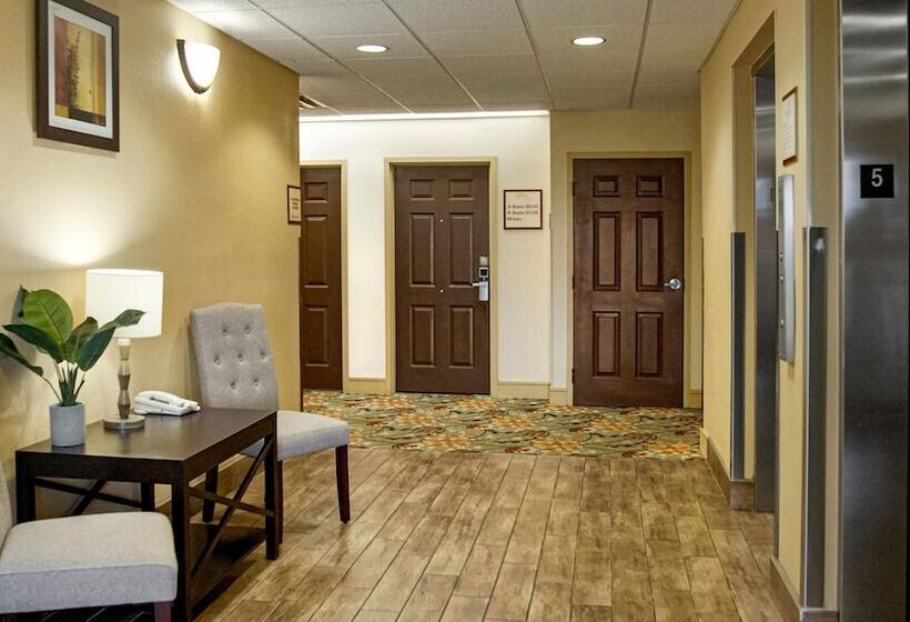 هتل Galleria Palms Orlando Free Theme Park Shuttles