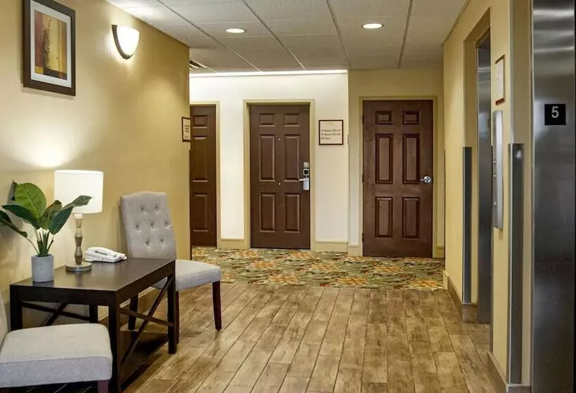 酒店 Galleria Palms Orlando   Free Theme Park Shuttles