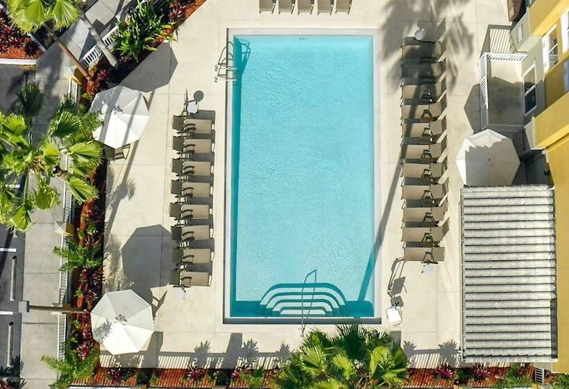 هتل Galleria Palms Orlando Free Theme Park Shuttles