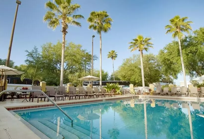 酒店 Galleria Palms Orlando   Free Theme Park Shuttles