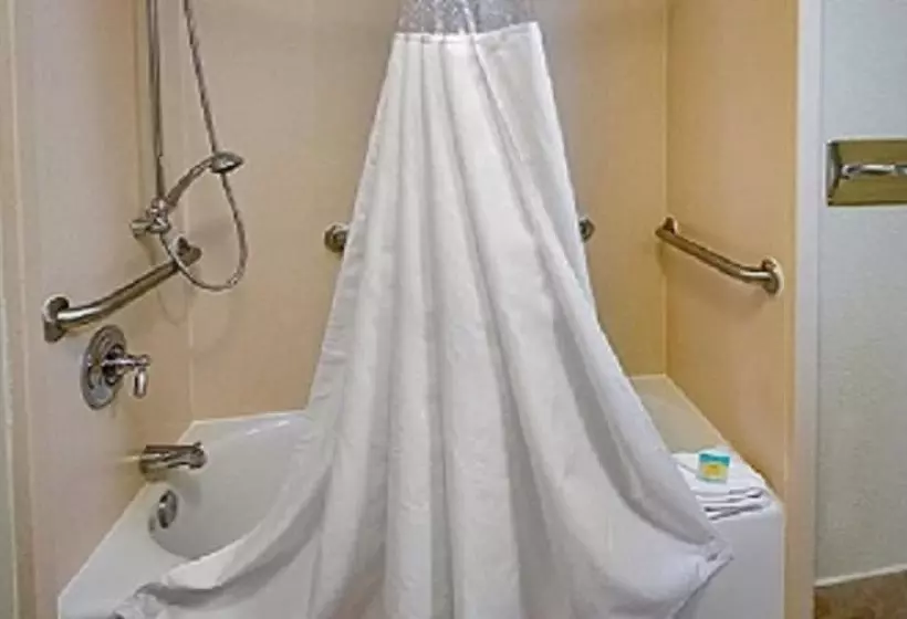 酒店 Galleria Palms Orlando   Free Theme Park Shuttles