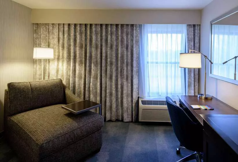 هتل Hampton Inn & Suites Jackson Coliseum