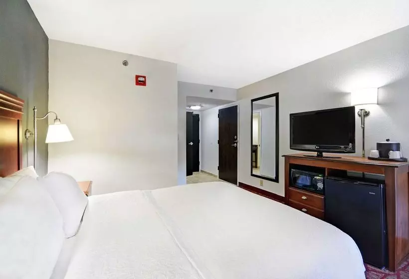 호텔 Hampton Inn Athens