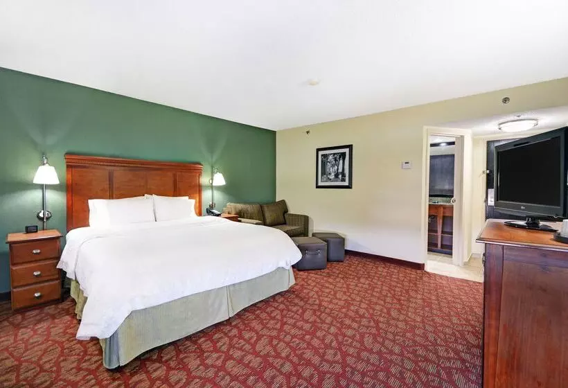 호텔 Hampton Inn Athens