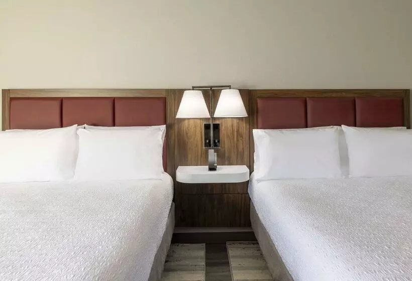 호텔 Hampton Inn Athens