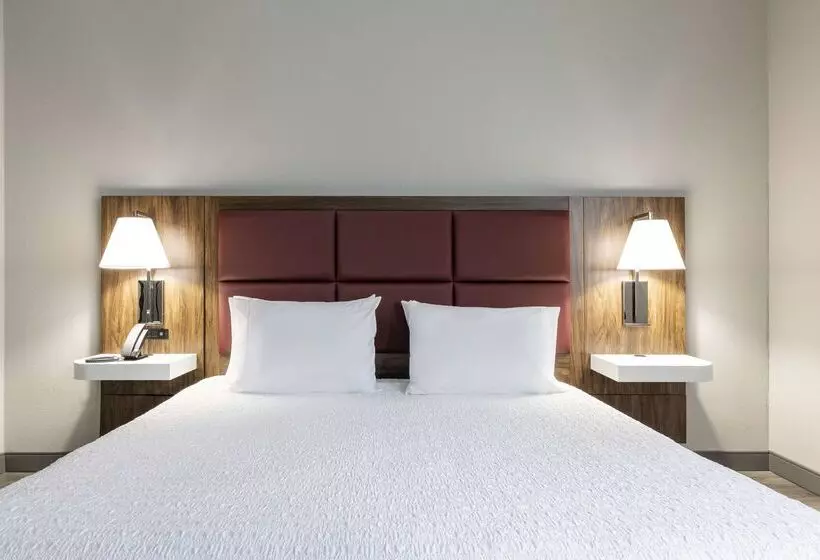 호텔 Hampton Inn Athens