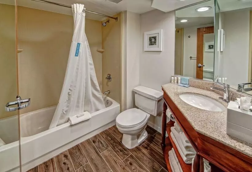 ホテル Hampton Inn By Hilton Charlotte/matthews