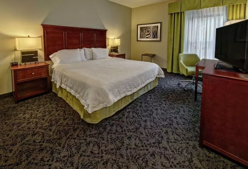 ホテル Hampton Inn By Hilton Charlotte/matthews