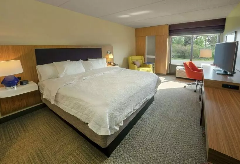 ホテル Hampton Inn Hazleton