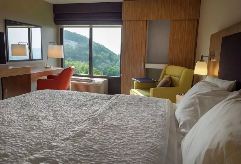 ホテル Hampton Inn Hazleton