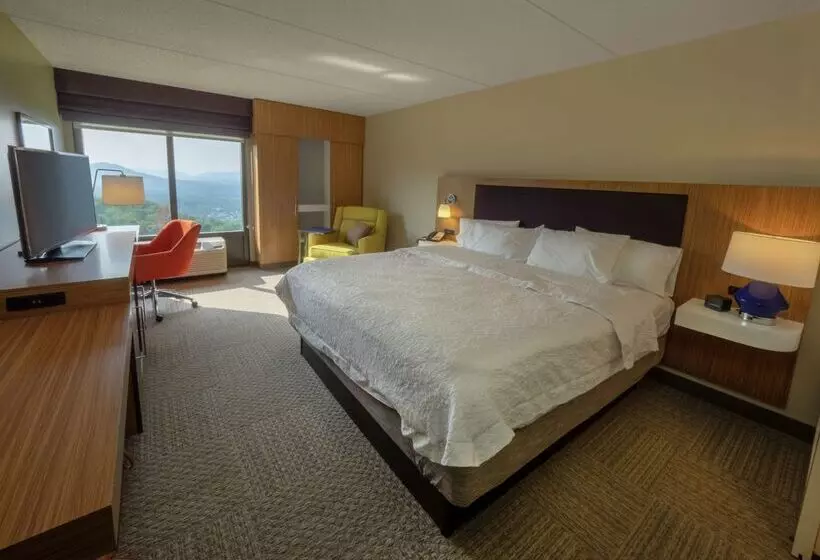 ホテル Hampton Inn Hazleton