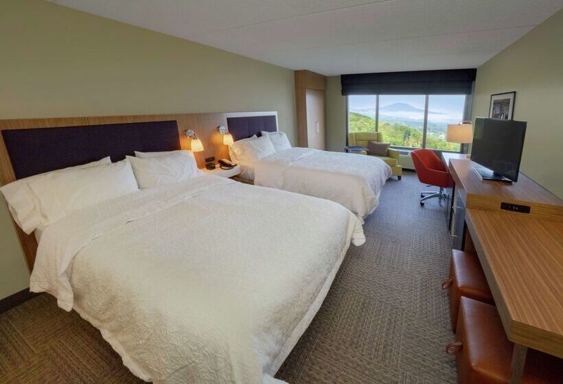 酒店 Hampton Inn Hazleton