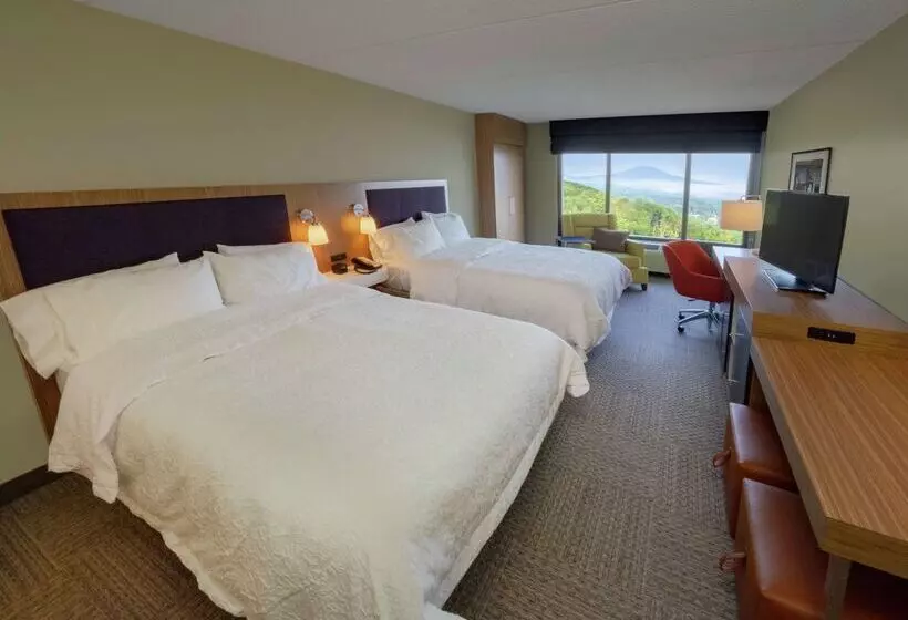 ホテル Hampton Inn Hazleton