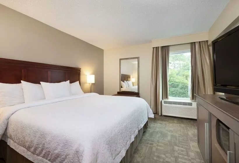 Отель Hampton Inn Houstonnear The Galleria