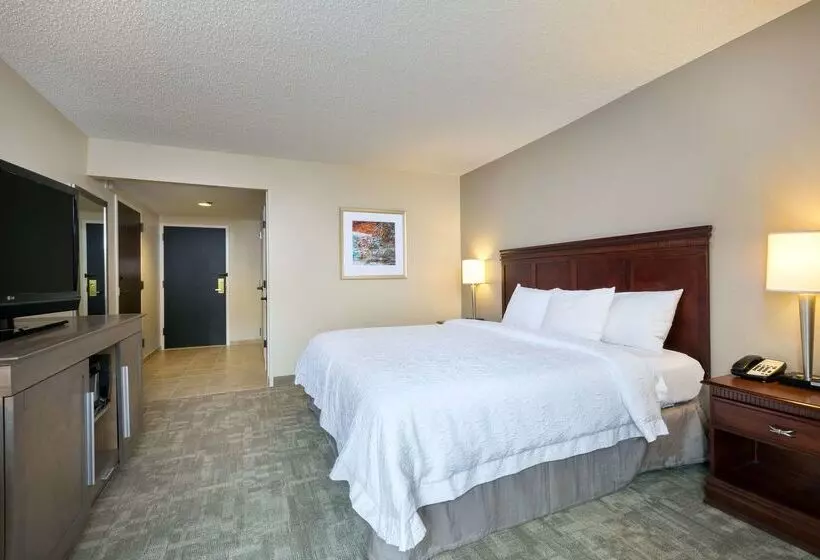 Отель Hampton Inn Houstonnear The Galleria