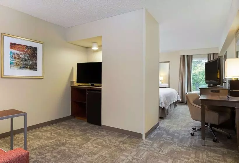 Отель Hampton Inn Houstonnear The Galleria