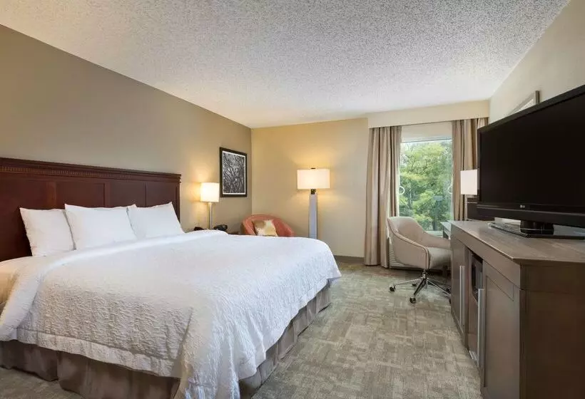 Отель Hampton Inn Houstonnear The Galleria