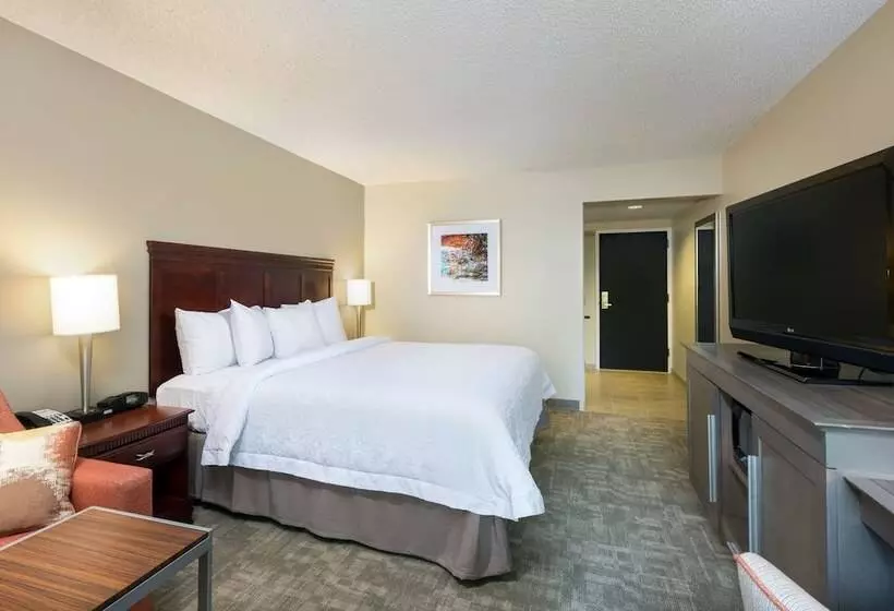 Отель Hampton Inn Houstonnear The Galleria