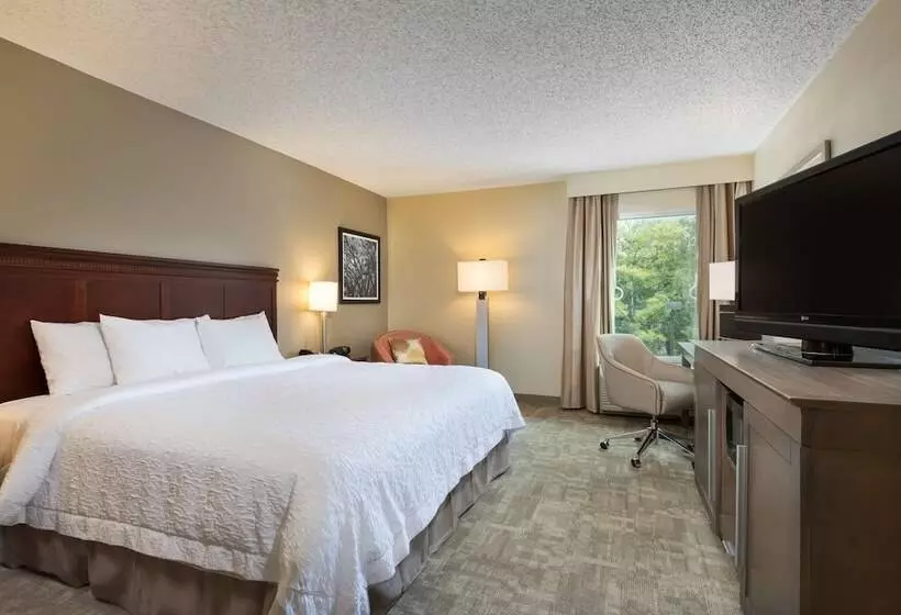 Отель Hampton Inn Houstonnear The Galleria