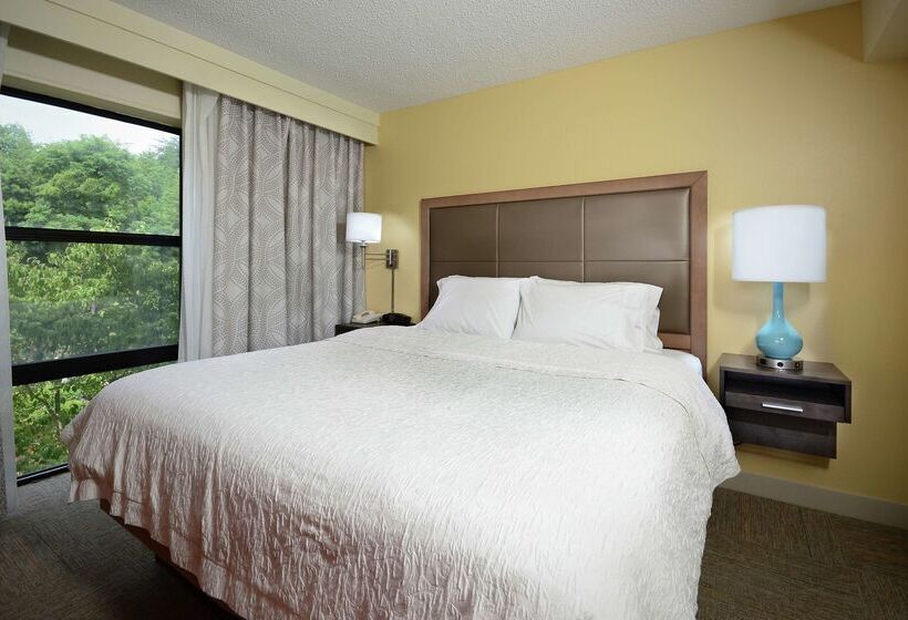 בית מלון כפרי Hampton Inn Martinsville