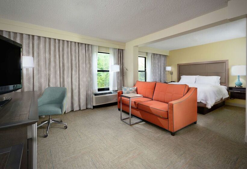 בית מלון כפרי Hampton Inn Martinsville