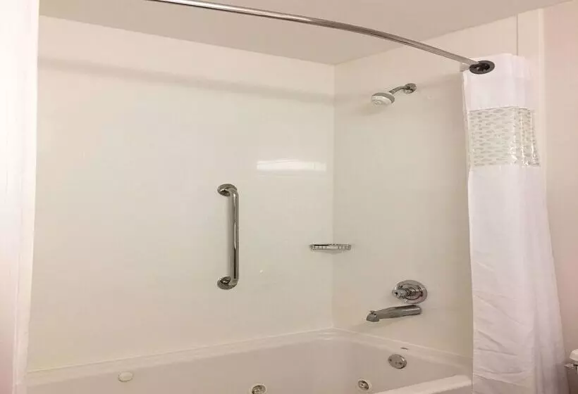 ホテル Hampton Inn Sevierville