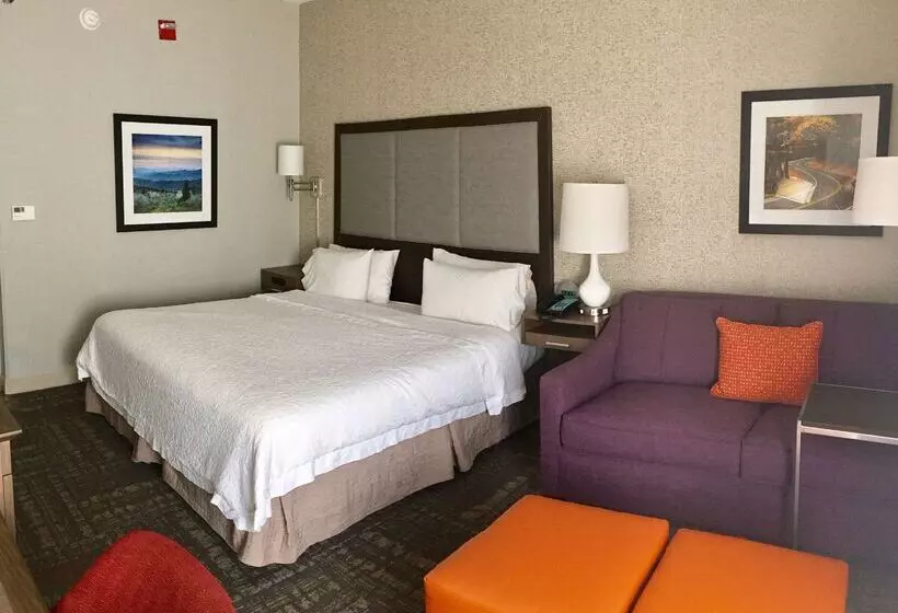 ホテル Hampton Inn Sevierville