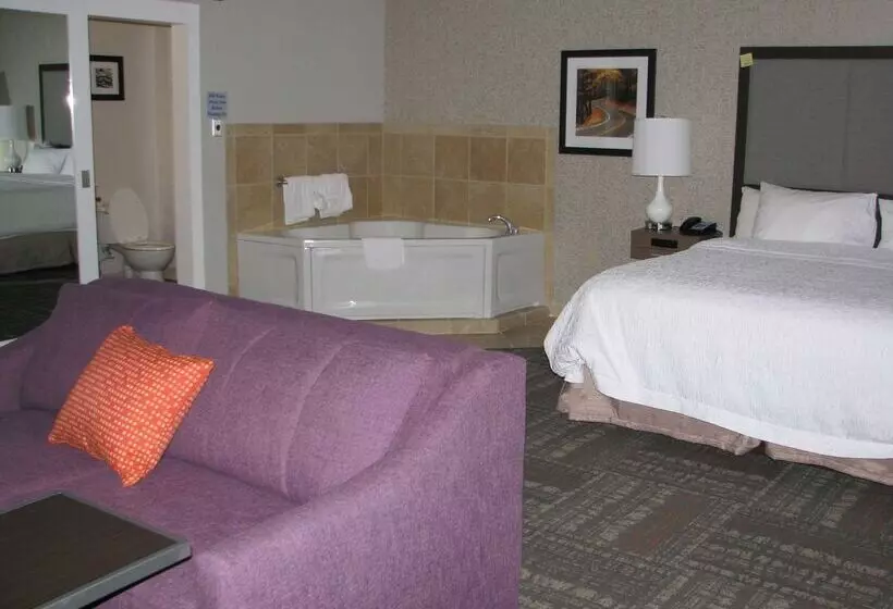 ホテル Hampton Inn Sevierville